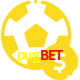 Aposte em esportes do mundo todo no pugbet!