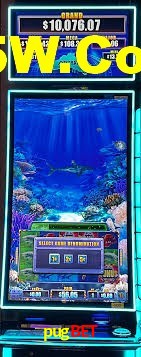 Premium Interface pugbet